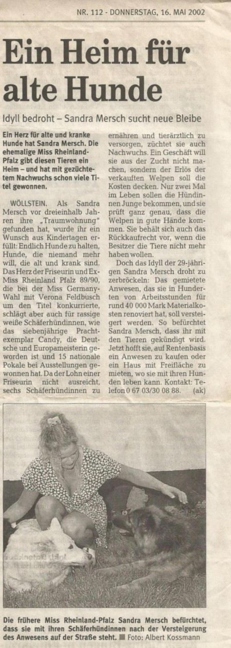 Über mich Über meine Liebe zu Hunden